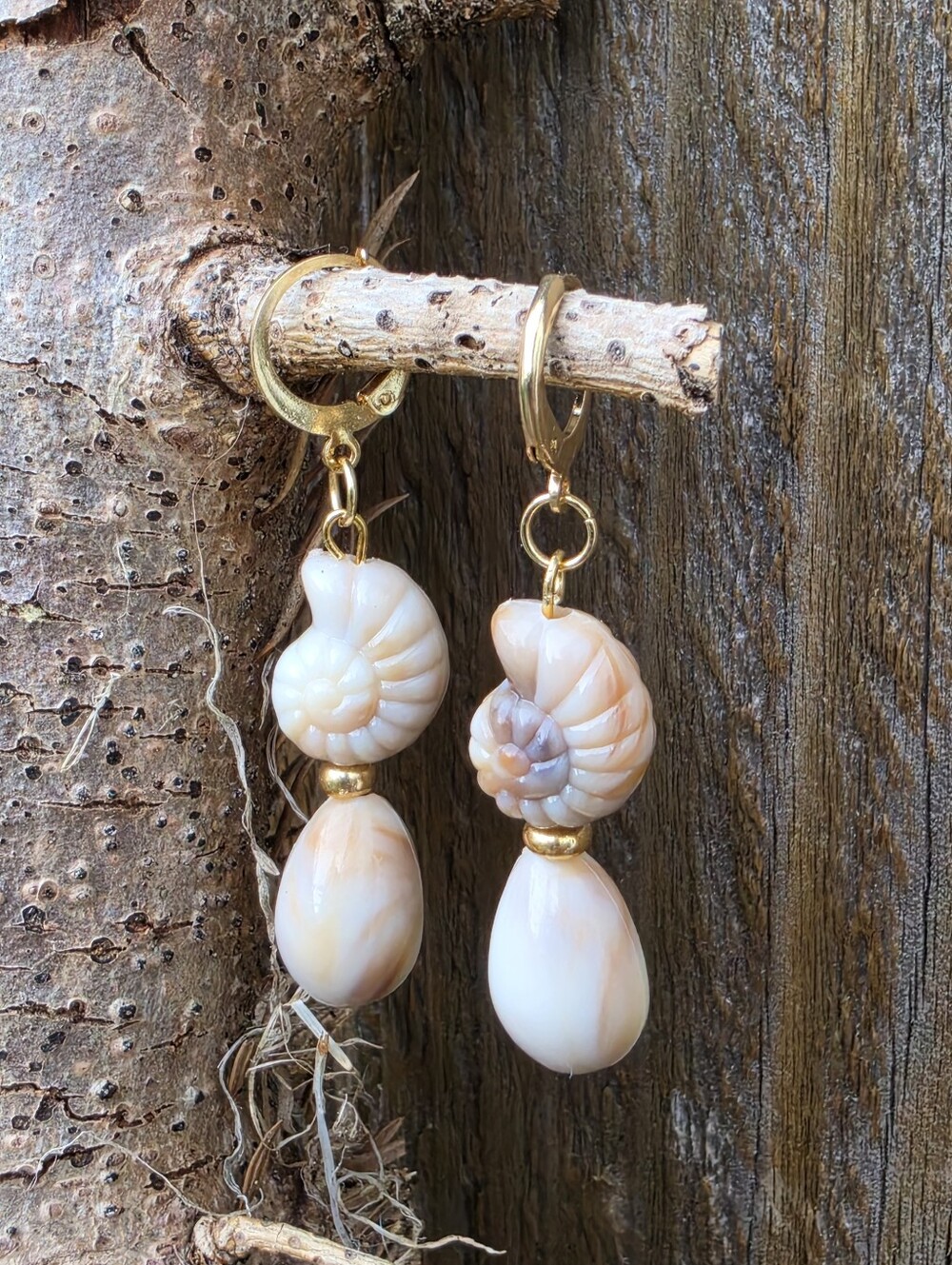 18k Gold Plated Natural Nautilus & Cowrie Shell Drop Earrings - Picture 2 of 2